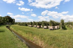 Papekamp 5, Ochten-41.jpg